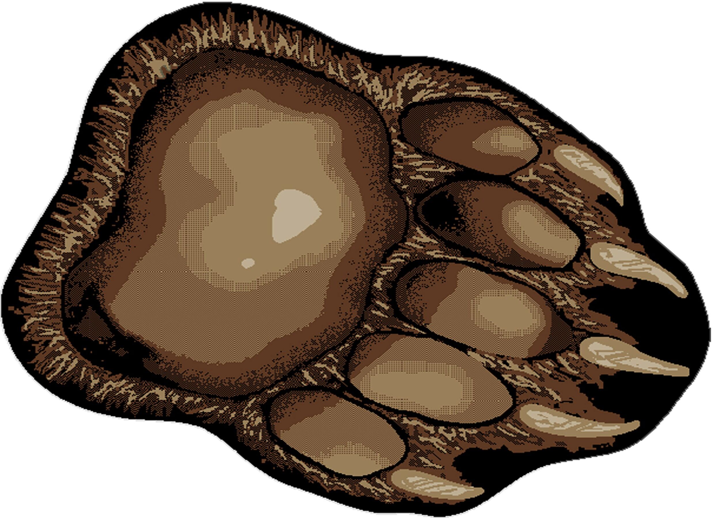 #22. Bear Trail Paw Rug | Smoky Mountain Décor